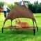 Show in main carousel: Heeyoo Elevated Dog Bed with Canopy, Brown, Large slide 6 of 9
