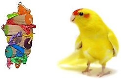 Mighty Bird Toys Wings Bird Toy, Color Varies, Small/Medium slide 2 of 2