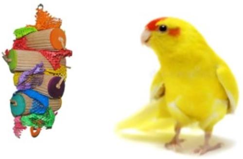 Show full view: Mighty Bird Toys Wings Bird Toy, Color Varies, Small/Medium slide 2 of 2