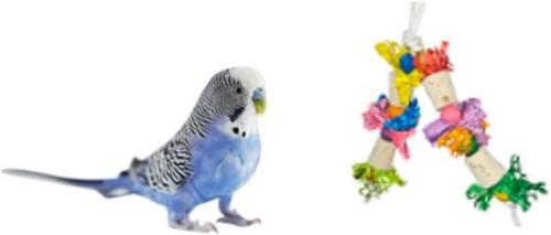 Show full view: Mighty Bird Toys Cork Petals Bird Toy, Color Varies, Medium slide 2 of 2