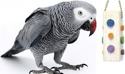 Mighty Bird Toys Cork & Balsa Bird Toy, Color Varies, Small/Medium slide 2 of 2