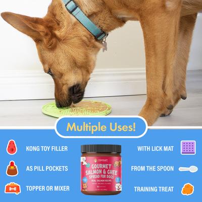 Show full view: Visionary Pet Foods Salmon & Ghee Meat Spread Dog Food Topper, 12-oz jar slide 6 of 8