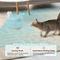 Show in main carousel: Happy & Polly Wireless Smart Cat Water Fountain, 2.1-liter slide 7 of 12