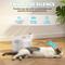 Show in main carousel: Happy & Polly Wireless Smart Cat Water Fountain, 2.1-liter slide 8 of 12