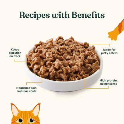 Show full view: Made by Nacho WIld-Caught Chicken & Herring Recipe with Bone Broth Minced Wet Cat Food, 5.5-oz can, case of 6 slide 4 of 10