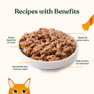 Show full view: Made by Nacho Sustainably Caught Salmon & Sole Recipe with Bone Broth Minced Wet Cat Food, 5.5-oz can, case of 6 slide 4 of 10