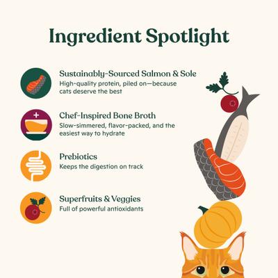 Show full view: Made by Nacho Sustainably Caught Salmon & Sole Recipe with Bone Broth Minced Wet Cat Food, 5.5-oz can, case of 6 slide 5 of 10