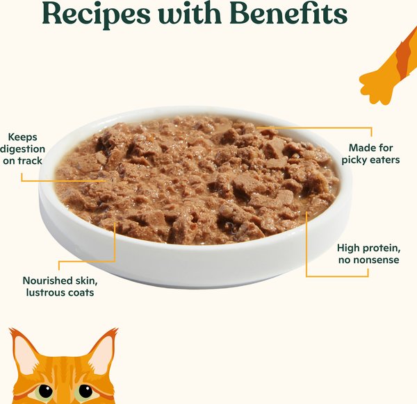 Made by Nacho Turkey & Turkey Liver Recipe Grain-Free Minced Wet Cat Food, 5.5-oz can, case of 6