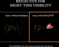 SafetyPUP XD Hi-Visibility Reflective Dog Bandana, Orange, Small: 11 to 15-in neck slide 2 of 7