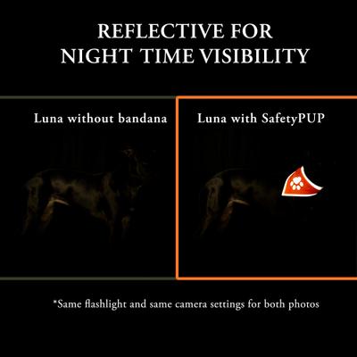 Show full view: SafetyPUP XD Hi-Visibility Reflective Dog Bandana, Orange, Small: 11 to 15-in neck slide 5 of 8