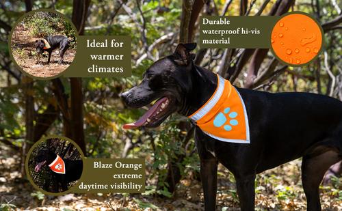 Show full view: SafetyPUP XD Hi-Visibility Reflective Dog Bandana, Orange, Small: 11 to 15-in neck slide 4 of 8