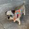 Show in main carousel: SafetyPUP XD Hi-Visibility Reflective Dog Bandana, Orange, Small: 11 to 15-in neck slide 7 of 8