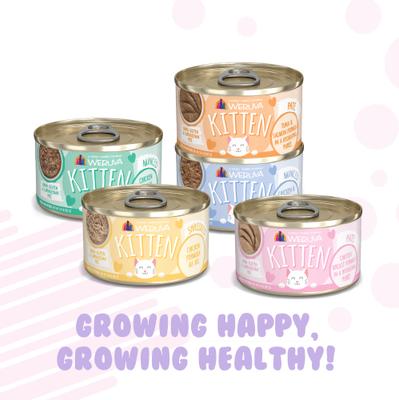 Show full view: Weruva Kitten Can Jam! Chicken, Tuna & Salmon Flavored Pate Canned Cat Food Variety Pack, Tuna, & Salmon Flavored Pate Canned Cat Food Variety Pack, 3-oz, case of 12 slide 8 of 13