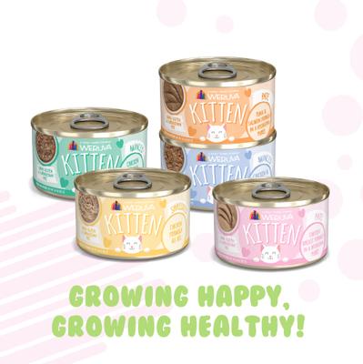 Show full view: Weruva Kitten Fur Baby Favorites Chicken Flavored Shredded Wet Cat Food Variety Pack, 3-oz can, case of 12 slide 8 of 13