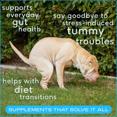 Show full view: Native Pet Allergy Itch Relief, 60 count + Vet-Formulated Probiotics & Prebiotic Dog Supplement, 8.2-oz canister slide 8 of 10