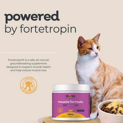 Show full view: MYOS Feline Muscle Formula Powder Cat Supplement, 180-g slide 5 of 9