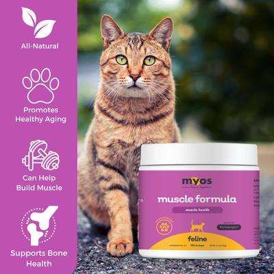Show full view: MYOS Feline Muscle Formula Powder Cat Supplement, 180-g slide 6 of 9