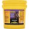 Show in main carousel: Immunex Ship Well Horse Supplement, 5.2-lb bag slide 1 of 4