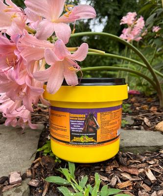 Immunex Ship Well Horse Supplement