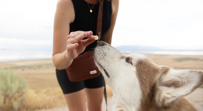 Pupford Turbo Tendon Dog Chews