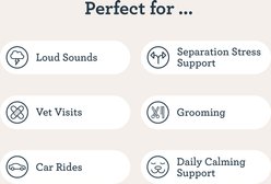 Kradle Calming Chillers Chicken Flavored Hard Chew Calming Supplement for Dogs, 6 count slide 2 of 8