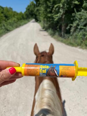 Show full view: Finish Line Quia-Cal Calming Paste Horse Supplement, 1-oz syringe slide 3 of 3