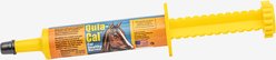 Finish Line Quia-Cal Calming Paste Horse Supplement, 1-oz syringe