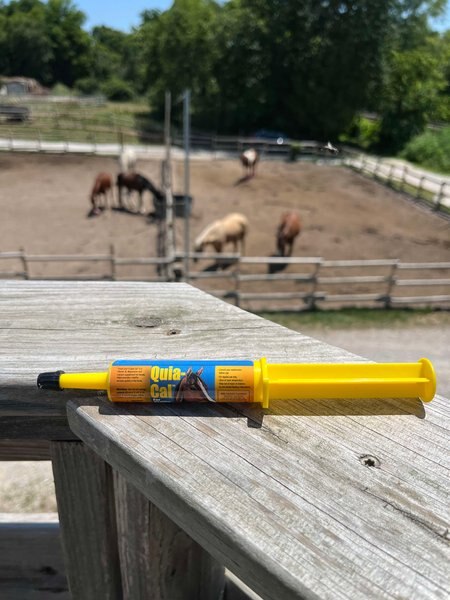 Finish Line Quia-Cal Calming Paste Horse Supplement