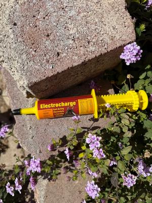 Show full view: Finish Line Fast-Acting Electrocharge Electrolyte Honey Flavor Paste Horse Supplement, 2-oz syringe slide 3 of 4