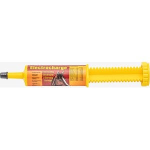Finish Line Fast-Acting Electrocharge Electrolyte Honey Flavor Paste Horse Supplement, 2-oz syringe