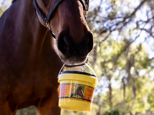 Show full view: Finish Line U-7 Gastric Aid Powder Horse Supplement, 3.2-lb tub slide 4 of 5