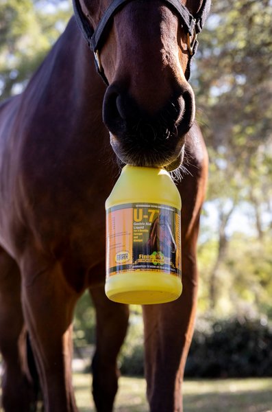 Finish Line U-7 Gastric Aid Liquid Horse Supplement