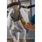 Show in main carousel: Finish Line U-7 Gastric Aid Liquid Horse Supplement, 2-fl oz syringe slide 3 of 5