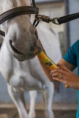Show full view: Finish Line U-7 Gastric Aid Liquid Horse Supplement, 2-fl oz syringe slide 3 of 5