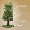 Show in main carousel: On2Pets 60-in Large Round Modern Cat Tree, Green slide 5 of 9