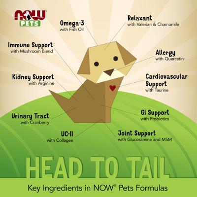 Show full view: NOW Pets Kidney Support Dog & Cat Supplement, 4.2-fl oz bottle slide 6 of 9