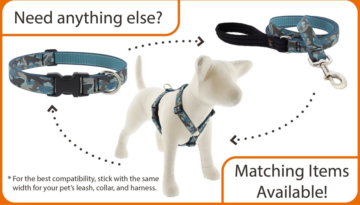 LupinePet Rain Song Adjustable Dog Harness