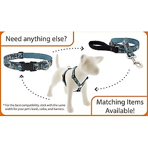 LupinePet Martingale Dog Collar, Rose Garden, Large: 15 to 22-in