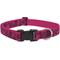 Show in main carousel: LupinePet Plum Blossom Dog Collar, X-Large: 25 to 31-in neck, 1-in wide slide 1 of 7