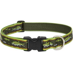 LupinePet Brook Trout Dog Collar, Medium: 12 to 20-in neck, 1-in wide