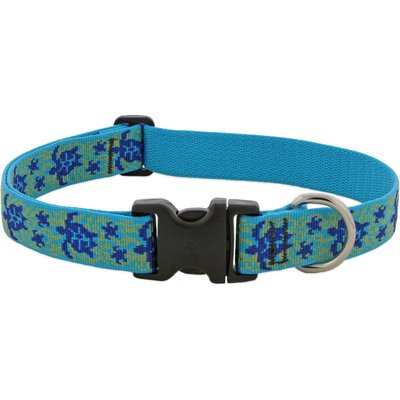 LupinePet LupinePet Turtle Reef Dog Collar, Medium: 12 to 20-in neck, 1-in wide