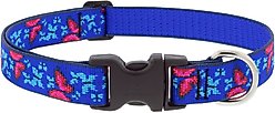 LupinePet Social Butterfly Dog Collar, Medium: 12 to 20-in neck, 1-in wide