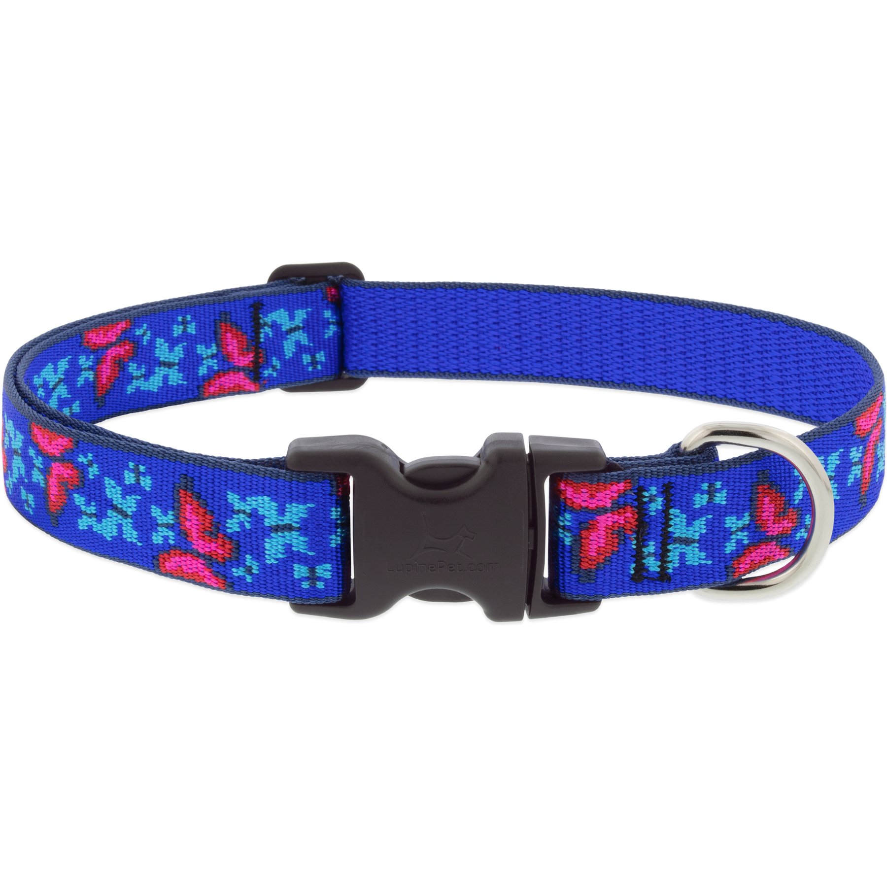 LupinePet Social Butterfly Dog Collar, X-Large: 25 to 31-in neck, 1-in wide