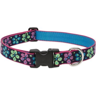 LupinePet LupinePet Flower Power Dog Collar, Large: 16 to 28-in neck, 1-in wide