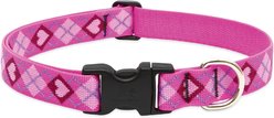 LupinePet Puppy Love Nylon Standard Dog Collar, Large: 16 to 28-in neck, 1-in wide