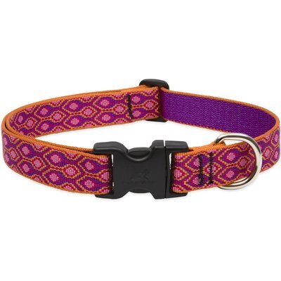 LupinePet LupinePet Alpen Glow Dog Collar, X-Large: 25 to 31-in neck, 1-in wide