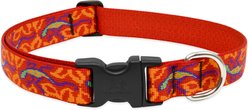 LupinePet Go Go Gecko Dog Collar, Large: 16 to 28-in neck, 1-in wide slide 1 of 6