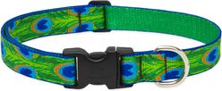 LupinePet Tail Feathers Dog Collar, Large: 16 to 28-in neck, 1-in wide