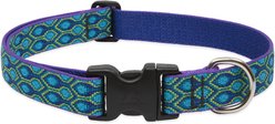 LupinePet Rain Song Dog Collar, Large: 16 to 28-in neck, 1-in wide