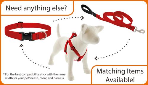 Show full view: LupinePet Basic Solid Dog Collar, Aqua, X-Large: 25 to 31-in neck, 1-in wide slide 4 of 6